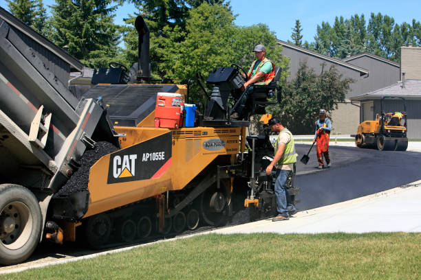 Best Custom Driveway Pavers  in Portsmouth, VA